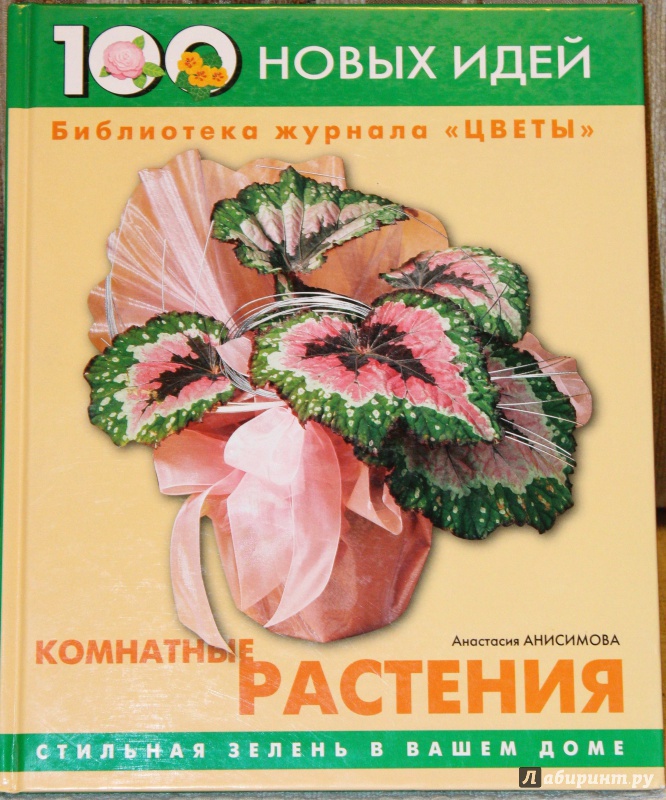 Иллюстрация 2 из 16 для Комнатные растения - Анастасия Анисимова | Лабиринт - книги. Источник: E.B.