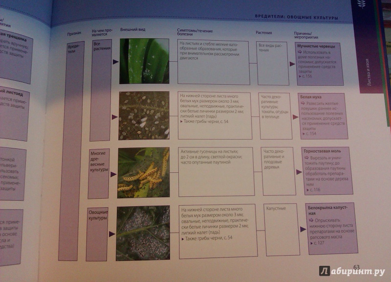 Иллюстрация 10 из 10 для Определитель болезней и вредителей растений - Томас Шустер | Лабиринт - книги. Источник: Никонов Даниил