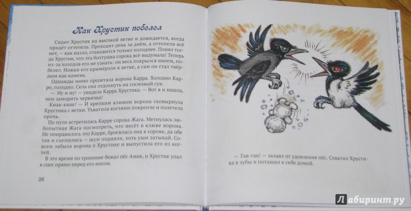Иллюстрация 42 из 67 для Зимняя сказка - Маргарита Старасте | Лабиринт - книги. Источник: Штерн  Яна