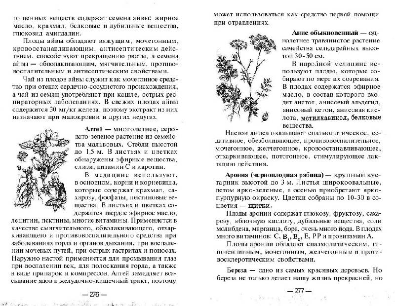 Иллюстрация 12 из 15 для Православный лечебник. Рецепты, проверенные временем - Т. Фролова | Лабиринт - книги. Источник: Рыженький
