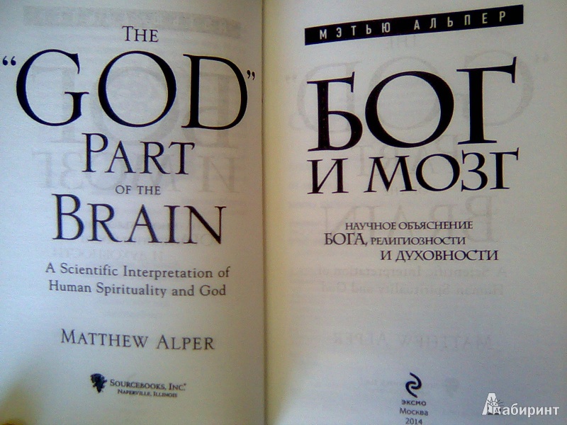 Иллюстрация 7 из 30 для Бог и мозг: Научное объяснение Бога, религиозности и духовности - Мэтью Альпер | Лабиринт - книги. Источник: Салус