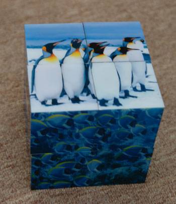 Иллюстрация 4 из 12 для Магнитные кубики-пазлы "Дикие животные" (8 кубиков, 12 пазлов) (14031) | Лабиринт - игрушки. Источник: kiks