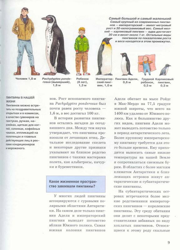 Иллюстрация 2 из 10 для Пингвины - Борис Кулик | Лабиринт - книги. Источник: Бетельгейзе