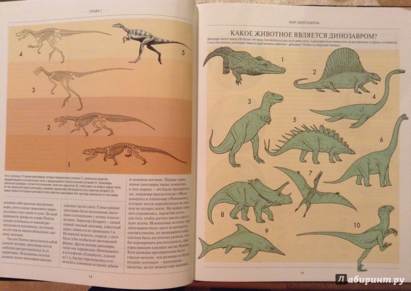 Иллюстрация 4 из 6 для Динозавры - Гардом, Милнер | Лабиринт - книги. Источник: bunabuna350