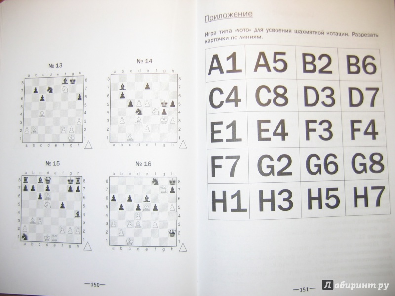 Иллюстрация 16 из 20 для Хочу учиться шахматам! - Анна Дорофеева | Лабиринт - книги. Источник: RoMamka