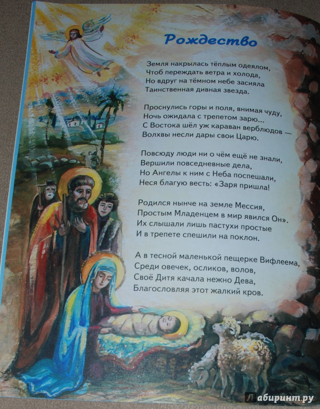 Иллюстрация 12 из 12 для Мир в дом - Елена Михаленко | Лабиринт - книги. Источник: Книжный кот