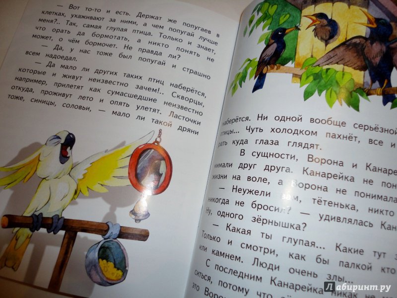 Иллюстрация 24 из 25 для Сказочка про Воронушку - черную головушку и желтую птичку Канарейку - Дмитрий Мамин-Сибиряк | Лабиринт - книги. Источник: blackbunny33