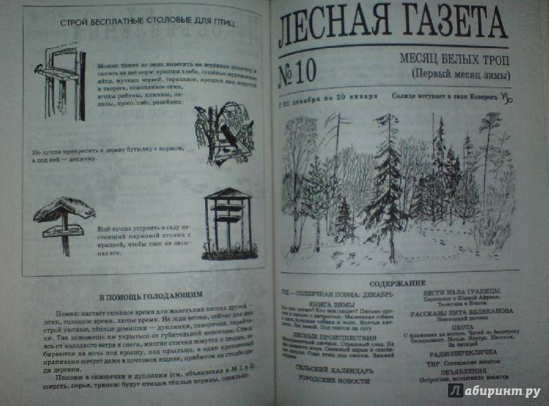 Иллюстрация 6 из 8 для Лесная газета на каждый год. Осень-зима - Виталий Бианки | Лабиринт - книги. Источник: Veronika_L