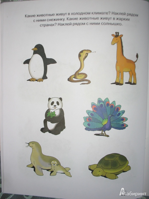 Иллюстрация 7 из 30 для Знакомимся с природой. 4-5 лет. ФГОС | Лабиринт - книги. Источник: Tatyana_G
