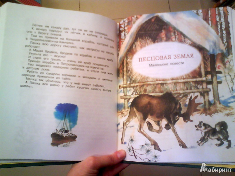 Иллюстрация 6 из 35 для Хитрый Бурундук - Геннадий Снегирев | Лабиринт - книги. Источник: Мила