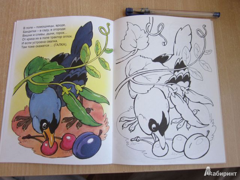 Иллюстрация 8 из 20 для Птичий обед - Юрий Чичев | Лабиринт - книги. Источник: Мeдвeдицa