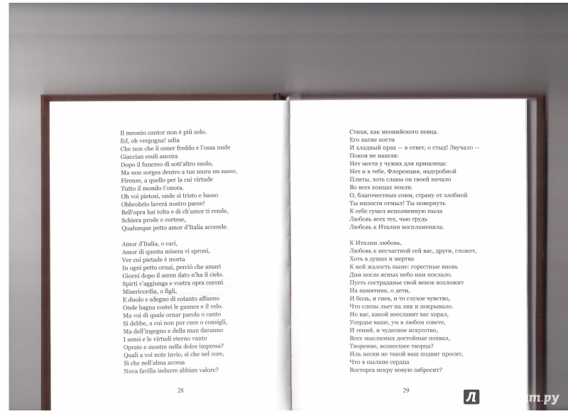 Иллюстрация 21 из 40 для Стихотворения - Джакомо Леопарди | Лабиринт - книги. Источник: Скоков  Сергей