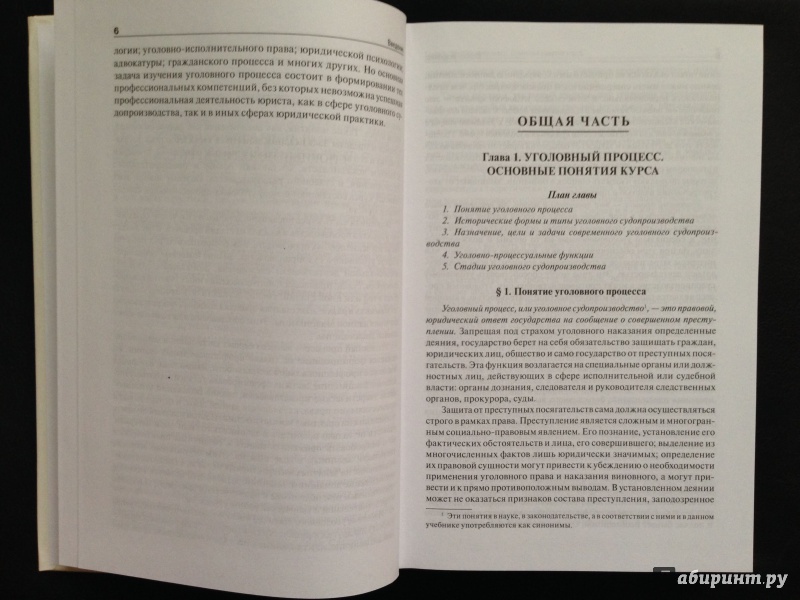 Иллюстрация 6 из 7 для Уголовный процесс. Учебник для бакалавров - Воскобитова, Володина, Матвеев, Махова | Лабиринт - книги. Источник: Vravedawam