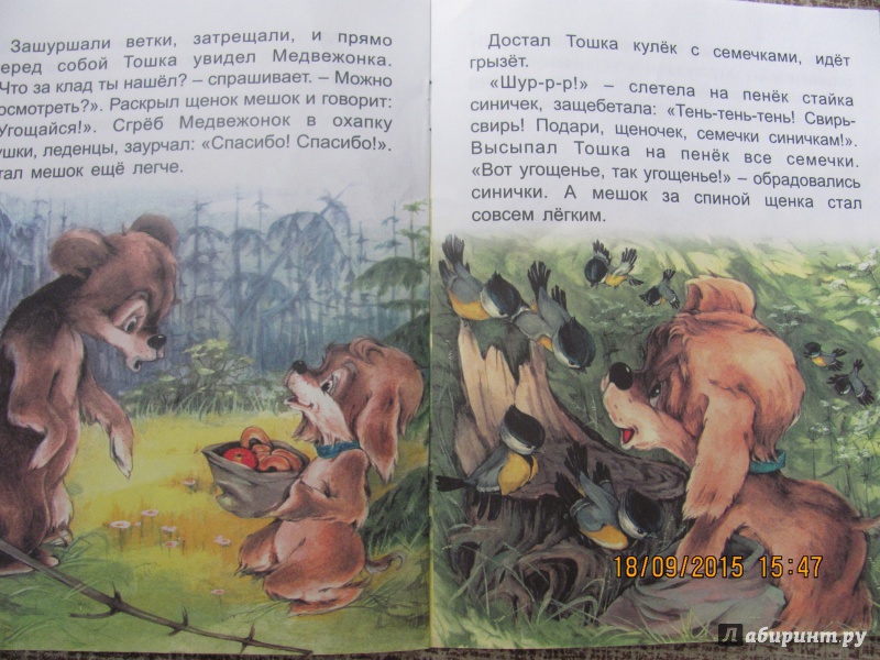 Иллюстрация 16 из 16 для Как найти клад - Екатерина Карганова | Лабиринт - книги. Источник: Алюня