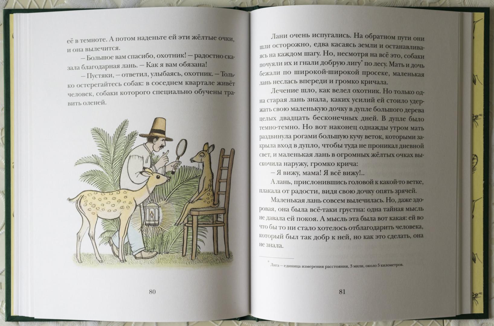 Иллюстрация 28 из 73 для Сказки сельвы: сказки о животных - Орасио Кирога | Лабиринт - книги. Источник: kvinden