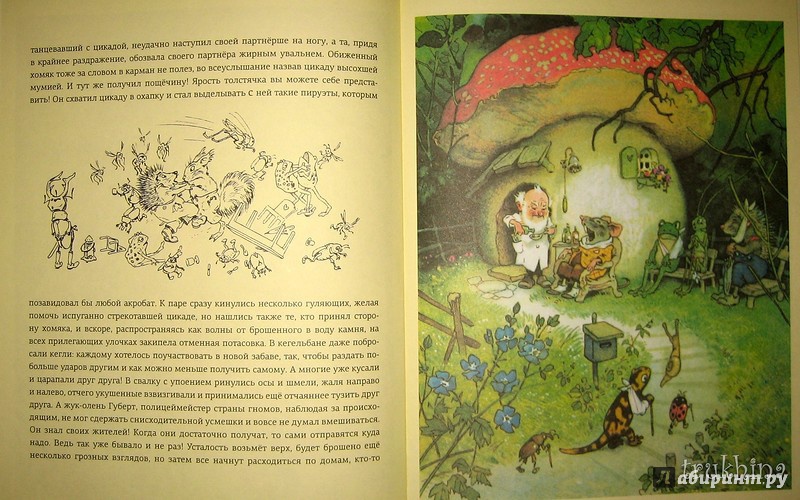 Иллюстрация 55 из 78 для В стране гномов - Эрих Хайнеманн | Лабиринт - книги. Источник: Трухина Ирина