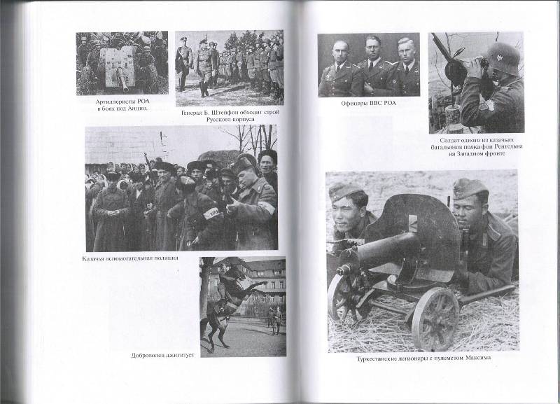 Иллюстрация 3 из 9 для Иностранные формирования Третьего рейха - Дробязко, Романько, Семенов | Лабиринт - книги. Источник: tat_skr
