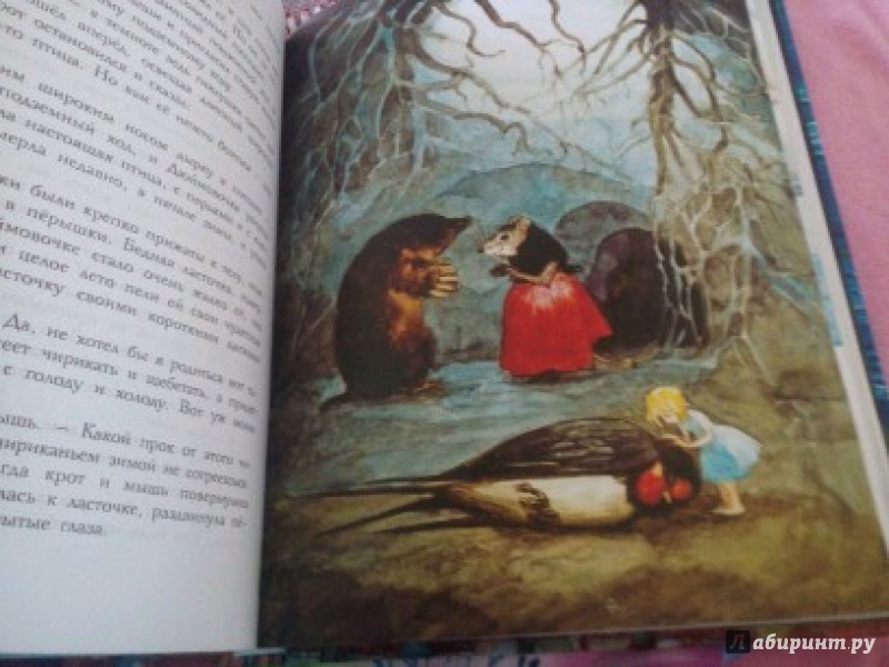 Иллюстрация 28 из 95 для Сказки - Ханс Андерсен | Лабиринт - книги. Источник: Бачурина Екатерина