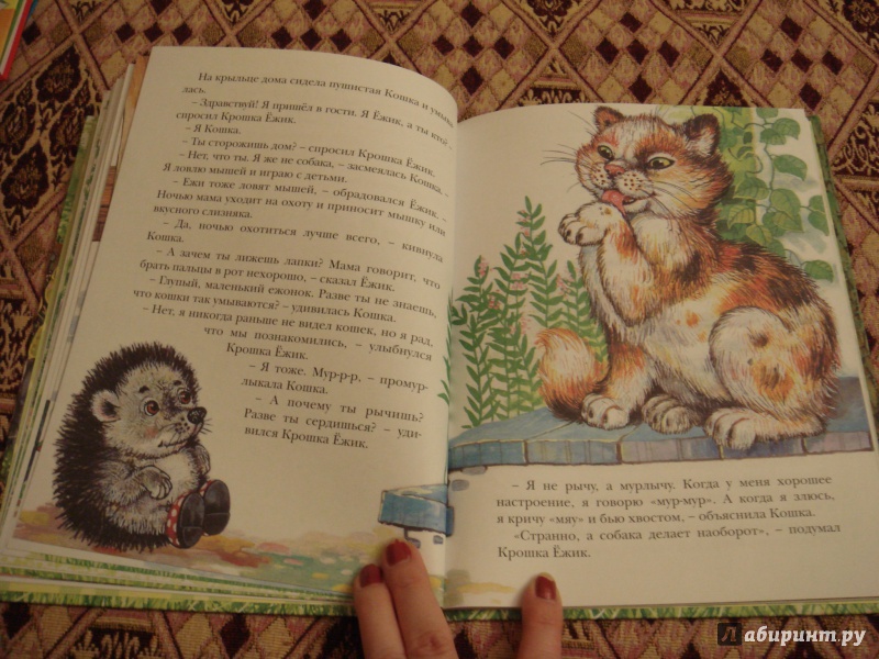 Иллюстрация 6 из 33 для Крошка Ёжик - Тамара Крюкова | Лабиринт - книги. Источник: Волкова  Алена
