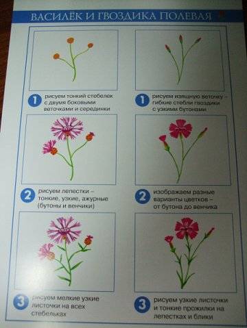 Иллюстрация 18 из 20 для Любимые цветы (рисование красками) - Ирина Лыкова | Лабиринт - книги. Источник: Капочка