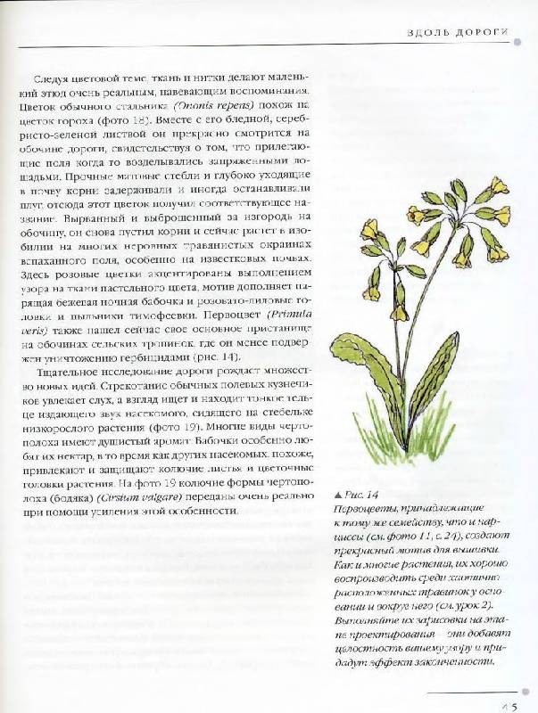 Иллюстрация 15 из 31 для Цветы. Практическое руководство - Хелен Стивенс | Лабиринт - книги. Источник: Юта