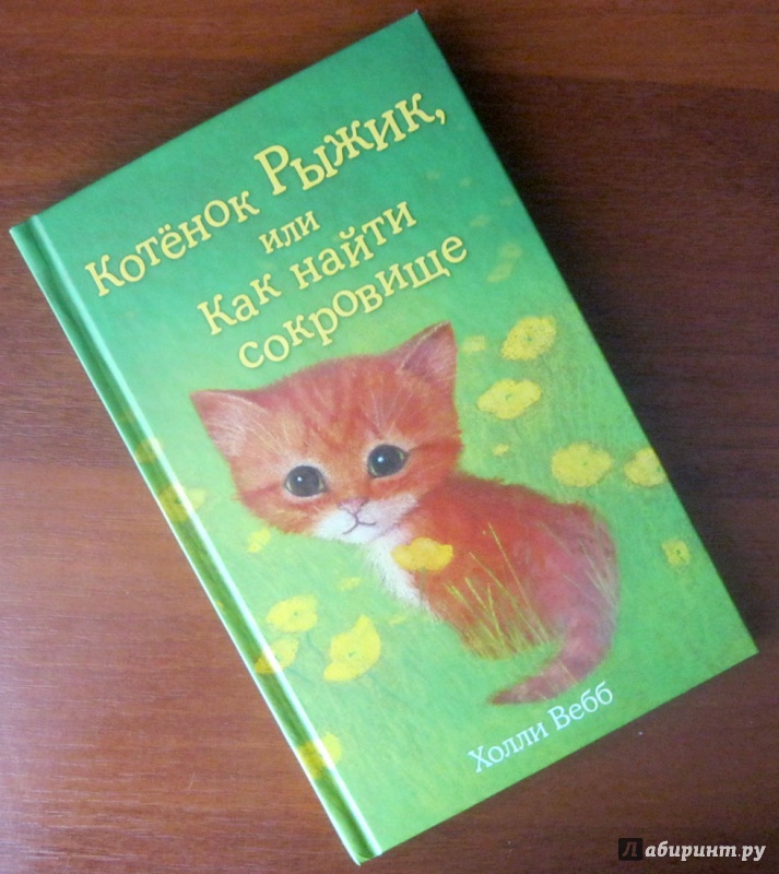 Иллюстрация 26 из 37 для Котёнок Рыжик, или Как найти сокровище - Холли Вебб | Лабиринт - книги. Источник: Климова Светлана