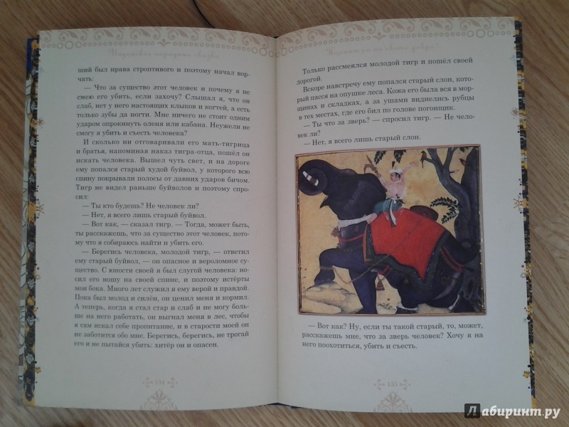 Иллюстрация 25 из 76 для Рама, Лакшмана и учёная сова. Индийские народные сказки | Лабиринт - книги. Источник: Olga