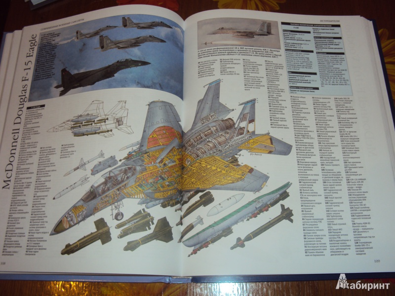 Иллюстрация 13 из 18 для Современные военные самолеты. С 1945 г. по настоящее время. Уникальные рисунки и чертежи | Лабиринт - книги. Источник: л.и.