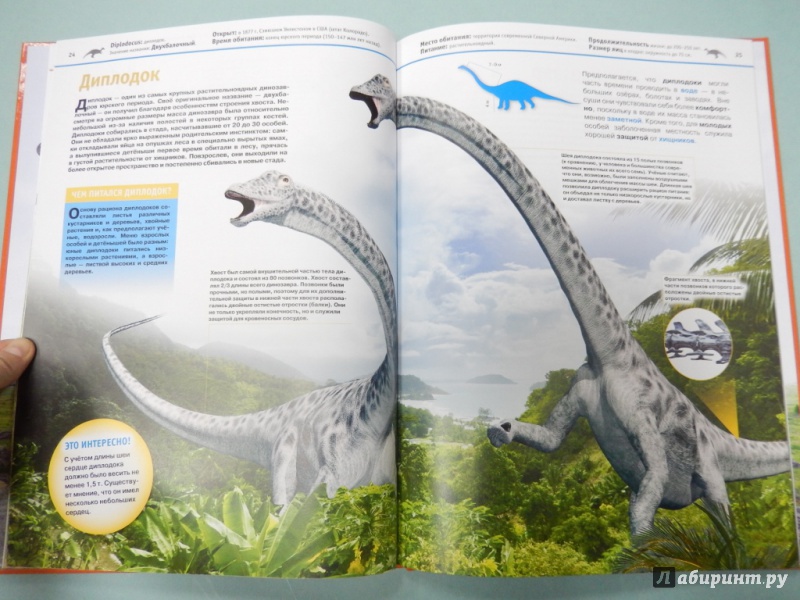 Иллюстрация 9 из 21 для Динозавры - Виктория Владимирова | Лабиринт - книги. Источник: dbyyb