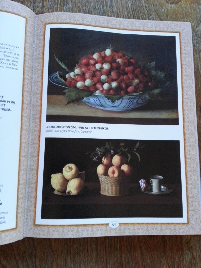 Иллюстрация 40 из 41 для Золотой век голландской живописи - Нина Геташвили | Лабиринт - книги. Источник: Кадомцева  Екатерина