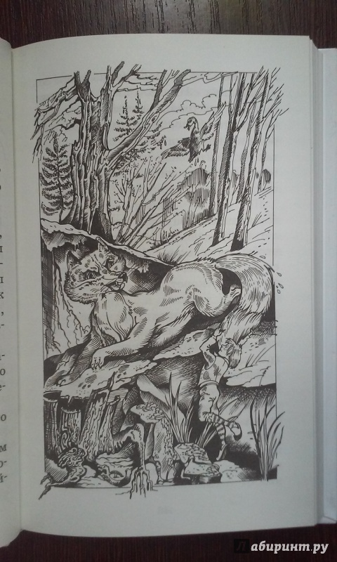 Иллюстрация 14 из 19 для Удивительное путешествие Нильса Хольгерсона с дикими гусями - Сельма Лагерлеф | Лабиринт - книги. Источник: Лабиринт