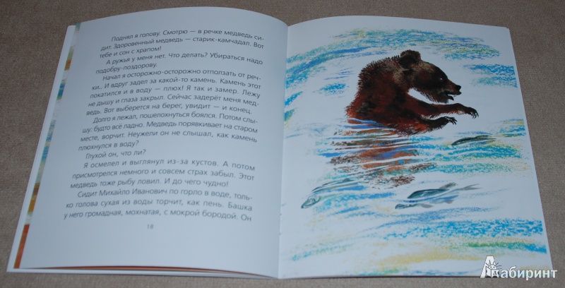 Иллюстрация 11 из 15 для Медведь-рыбак - Евгений Чарушин | Лабиринт - книги. Источник: Книжный кот