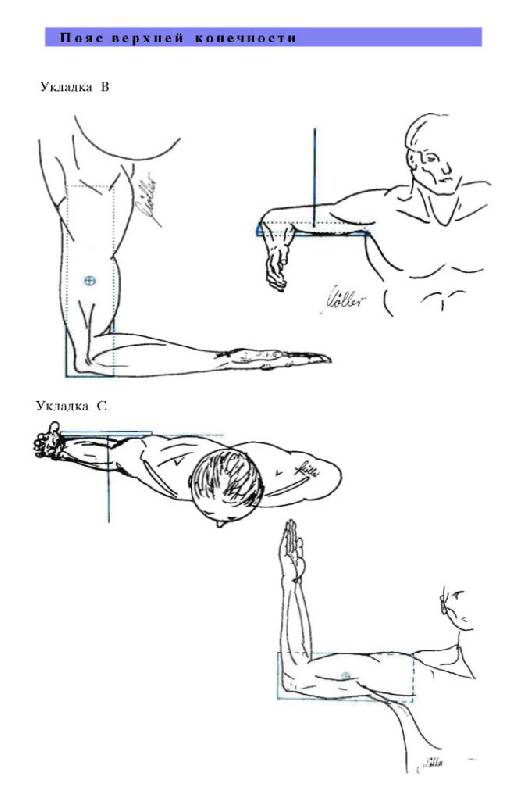 Иллюстрация 29 из 29 для Атлас рентгенологических укладок - Меллер, Райф | Лабиринт - книги. Источник: Юта