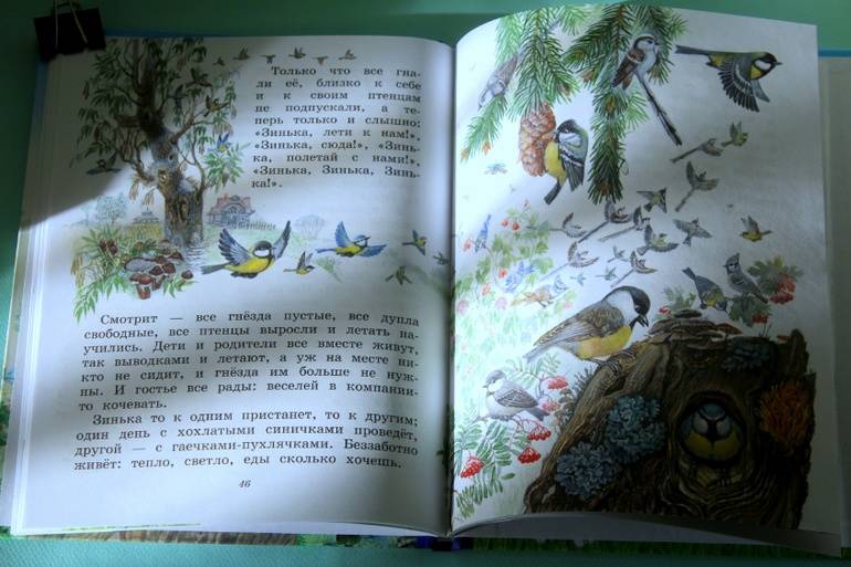 Иллюстрация 40 из 55 для Синичкин календарь - Виталий Бианки | Лабиринт - книги. Источник: Katerina