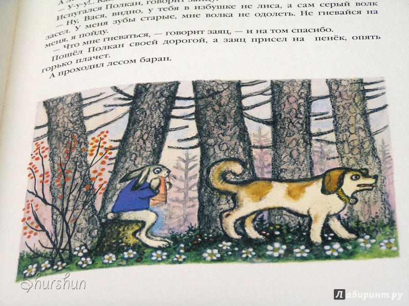 Иллюстрация 28 из 34 для Дружба зверей | Лабиринт - книги. Источник: Shurshun