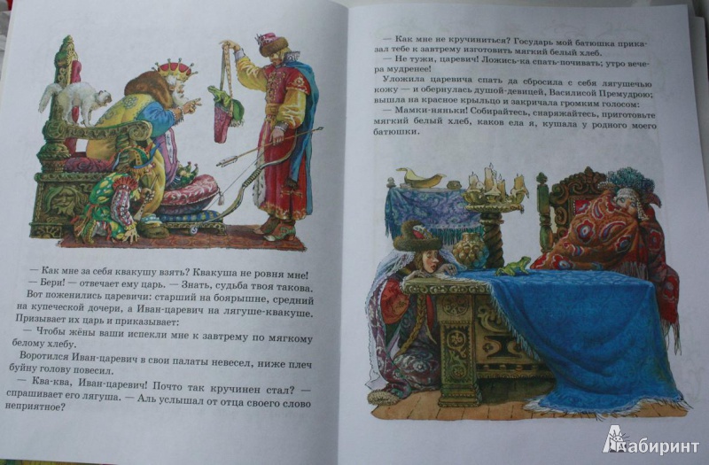 Иллюстрация 4 из 28 для Царевна-лягушка | Лабиринт - книги. Источник: Вольга