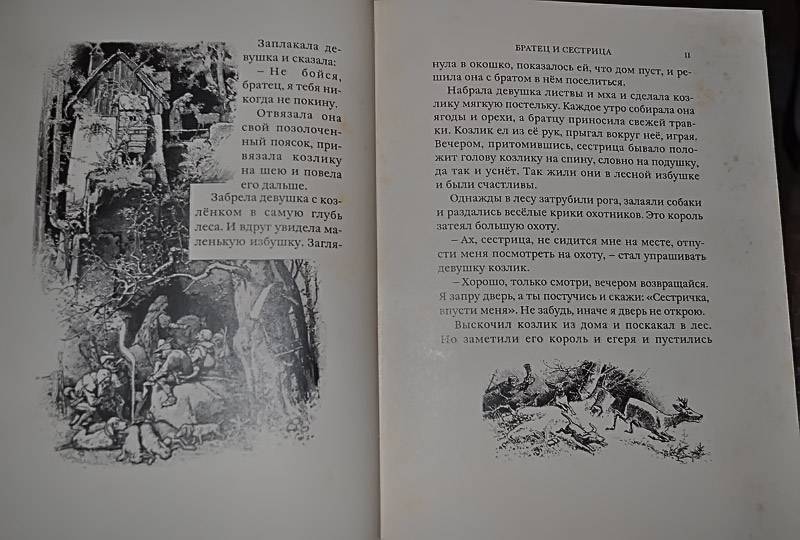 Иллюстрация 34 из 68 для Сказки - Гримм Якоб и Вильгельм | Лабиринт - книги. Источник: Солненые зайцы