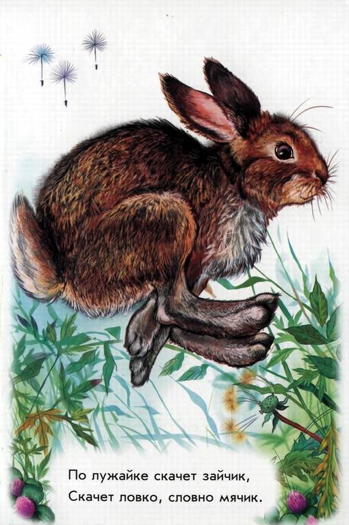 Иллюстрация 14 из 21 для В лесу - Олеся Квитка | Лабиринт - книги. Источник: Panterra
