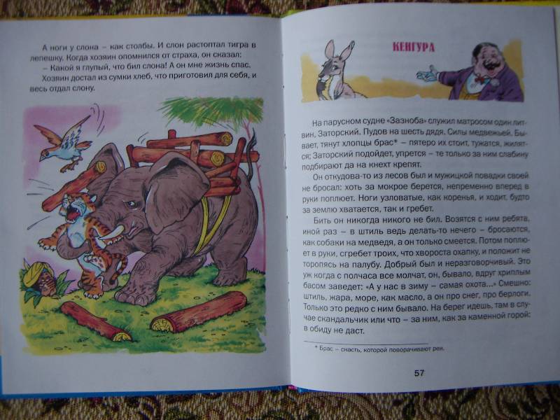 Иллюстрация 10 из 15 для Рассказы о животных - Борис Житков | Лабиринт - книги. Источник: Алонсо Кихано