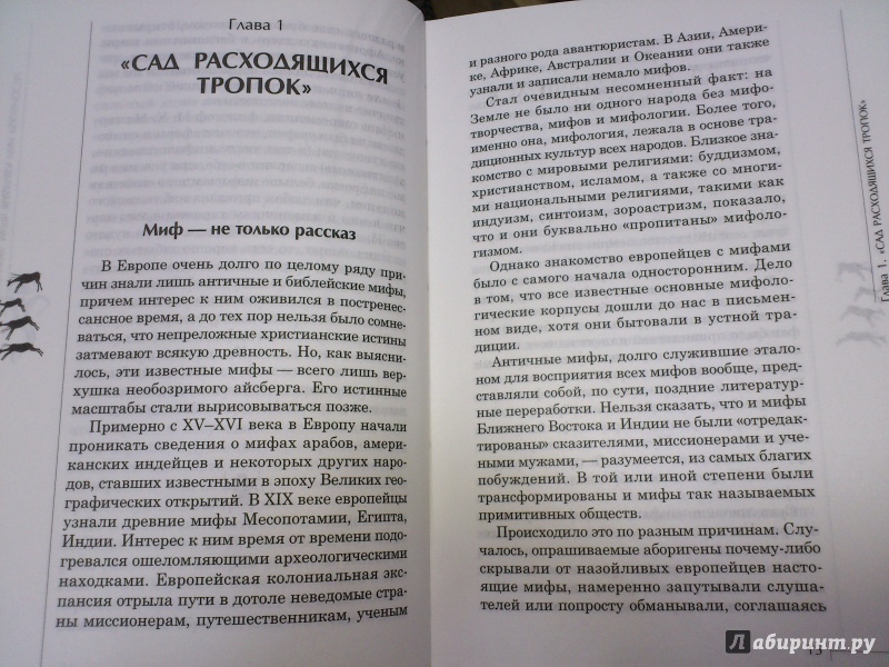 Иллюстрация 24 из 39 для Миф и реальность - Маргарита Альбедиль | Лабиринт - книги. Источник: Еrin