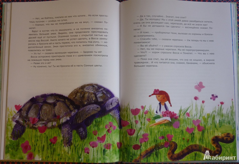 Иллюстрация 12 из 24 для Тайна Перелётных деревьев - Виктория Топоногова | Лабиринт - книги. Источник: zojkin_dom