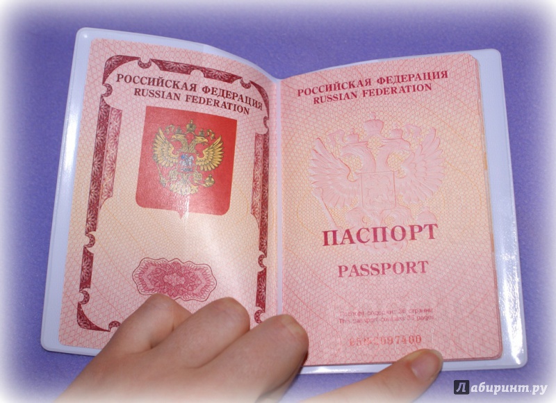 Иллюстрация 2 из 3 для Обложка для паспорта "Зайка" (37722) | Лабиринт - канцтовы. Источник: мишучка