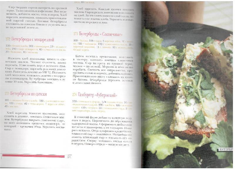 Иллюстрация 6 из 6 для 365 рецептов закусок и бутербродов - Елена Савина | Лабиринт - книги. Источник: gabi