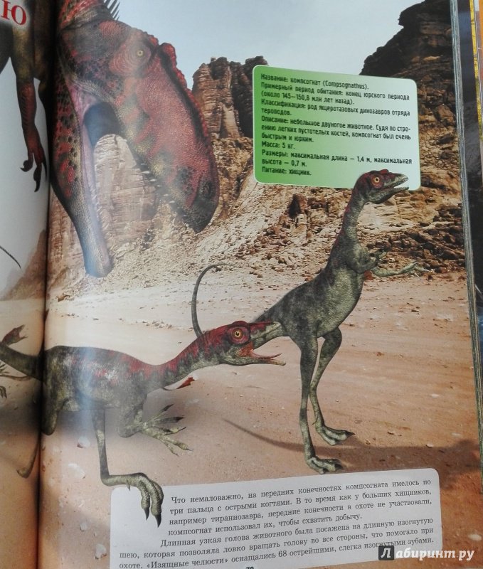 Иллюстрация 19 из 19 для Динозавры - Вячеслав Ликсо | Лабиринт - книги. Источник: Сафиулина  Юлия