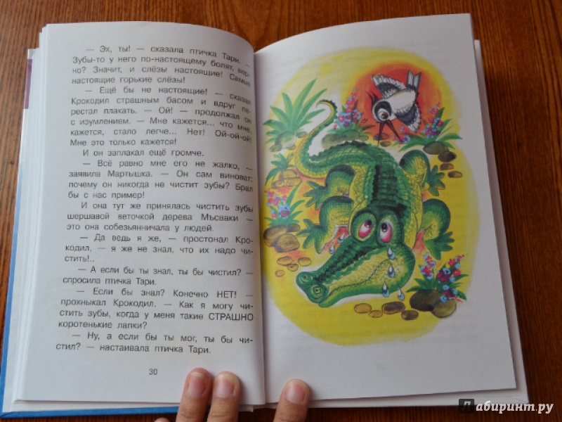 Иллюстрация 15 из 25 для Сказки - Борис Заходер | Лабиринт - книги. Источник: Орлова Лариса