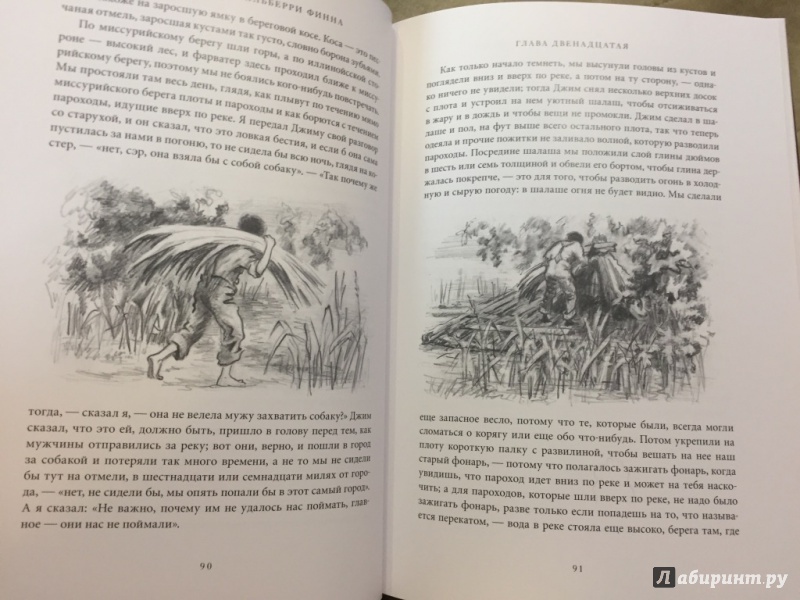 Иллюстрация 12 из 33 для Приключения Гекльберри Финна - Марк Твен | Лабиринт - книги. Источник: pavko