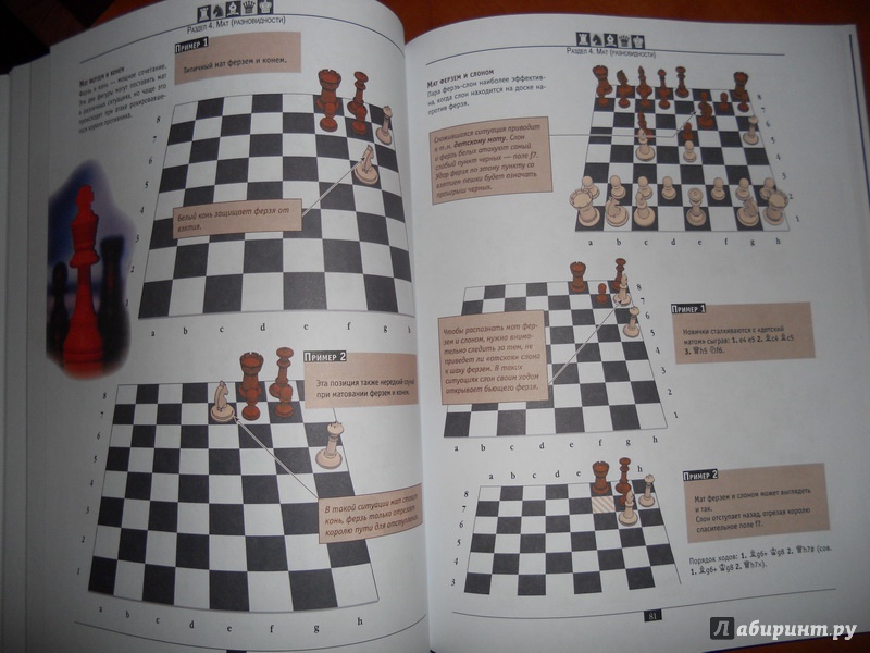 Иллюстрация 7 из 12 для Шахматы. Самый полный самоучитель для начинающих | Лабиринт - книги. Источник: alla_nov