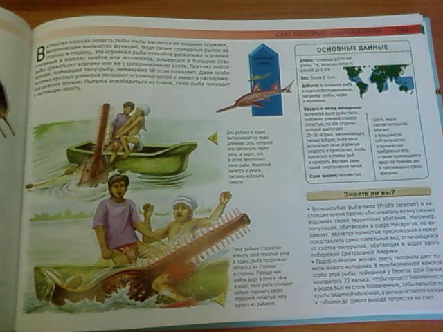 Иллюстрация 25 из 36 для Акулы и другие монстры подводного мира: самые ужасные создания Мирового океана - Сюзан Барраклаух | Лабиринт - книги. Источник: lettrice