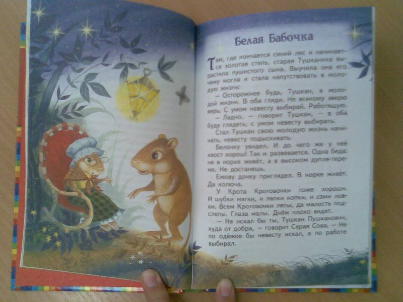 Иллюстрация 17 из 17 для Волшебные краски - Евгений Пермяк | Лабиринт - книги. Источник: Mechtatel