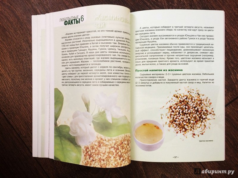 Иллюстрация 17 из 20 для Зеленый чай: оцените китайский чай - Хун Ли | Лабиринт - книги. Источник: Lr